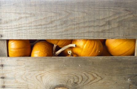 Pequenos móveis com caixotes