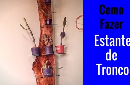 Estante de tronco para mini cactos