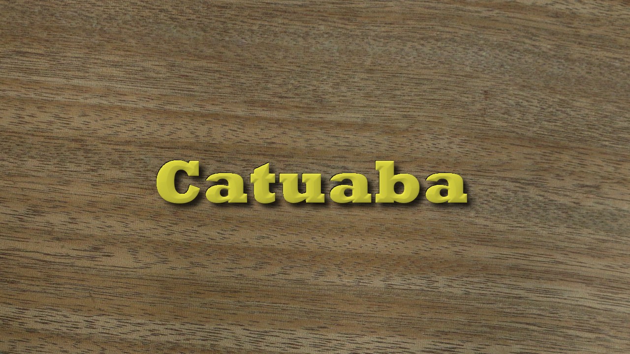 Catuaba