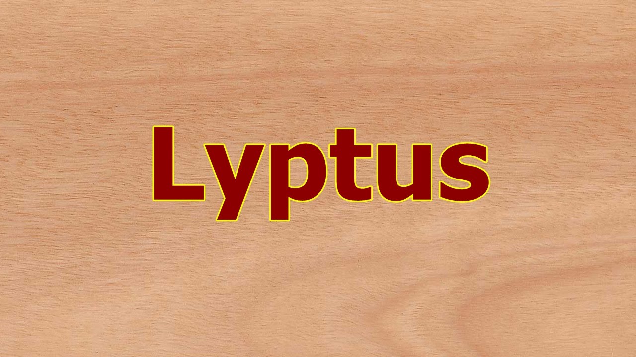 Lyptus a madeira nobre ecologicamente correta