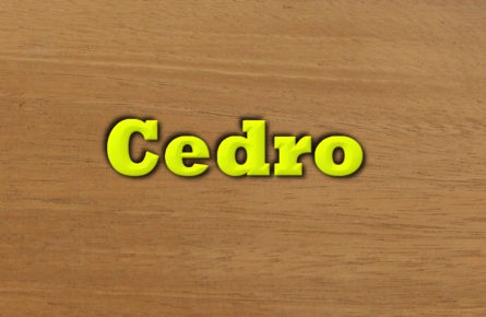 Cedro