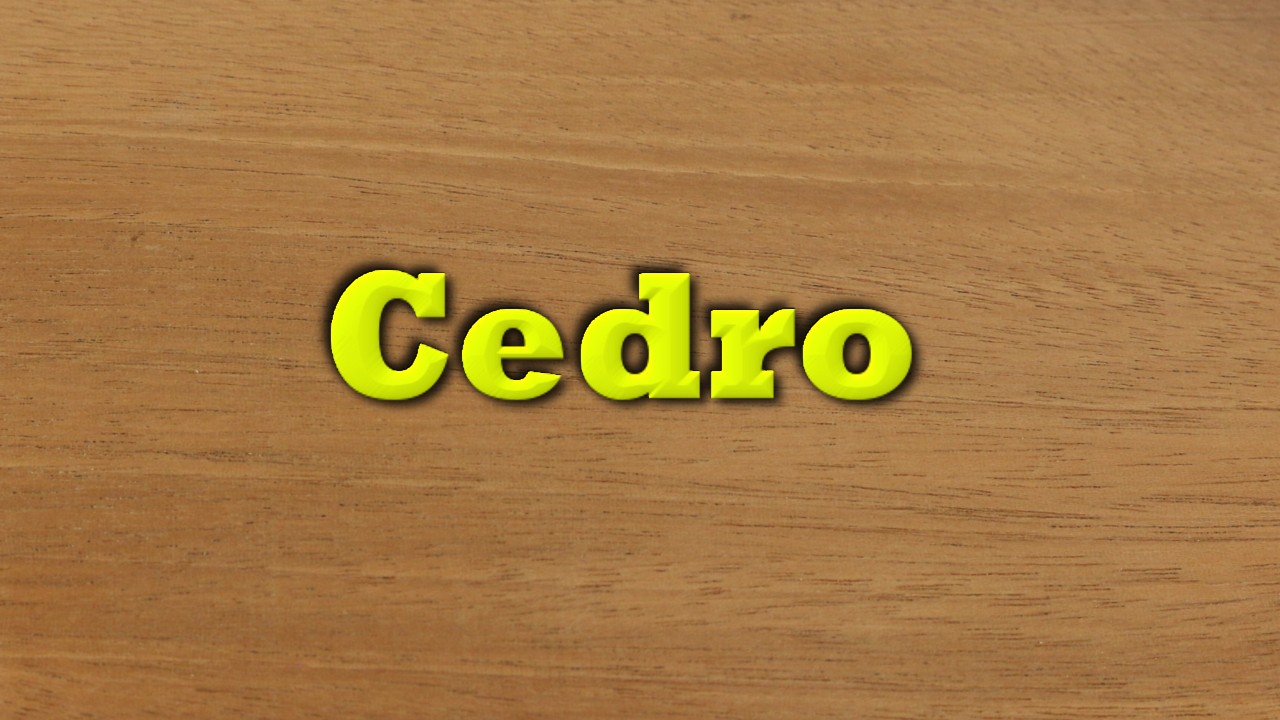 Cedro