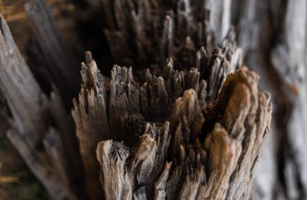 Quatro coisas que acabam com a madeira